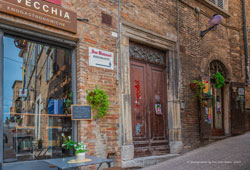 urbino